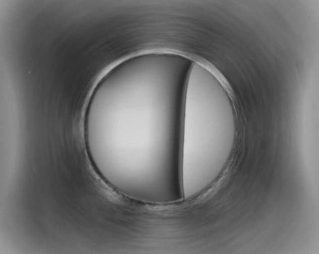 X0000115521004200911061019