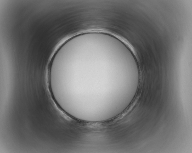 X0000115521006200911061019