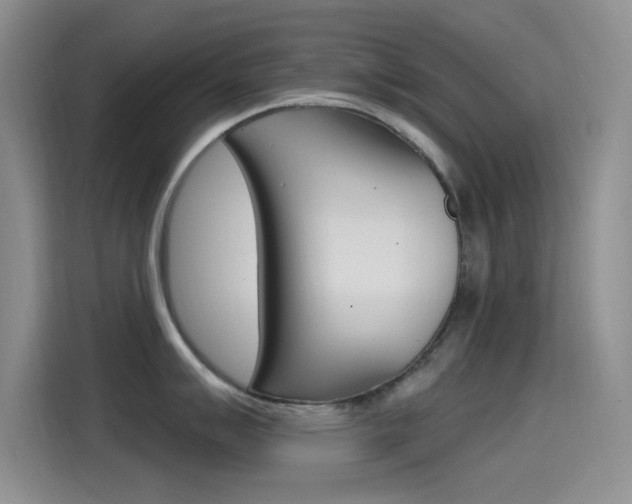X0000115521007200911061019