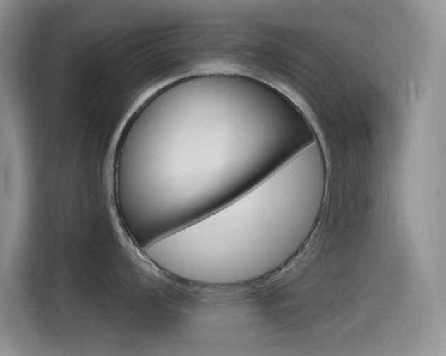 X0000115521008200911061019