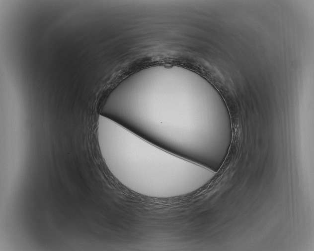 X0000115521012200911061019
