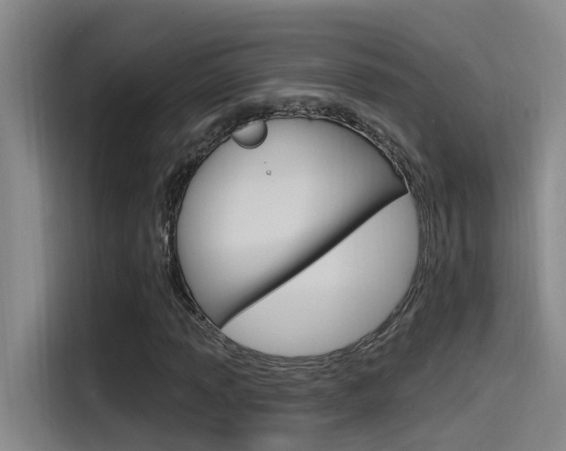 X0000115521013200911061019