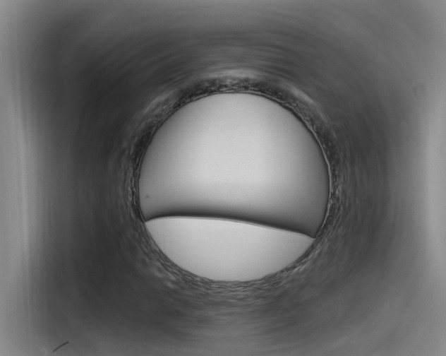 X0000115521014200911061019