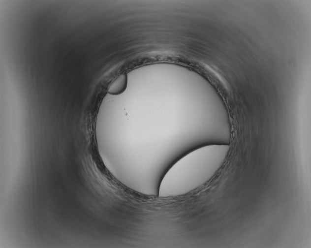 X0000115521015200911061019