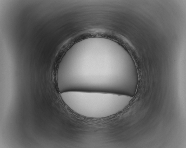 X0000115521016200911061019