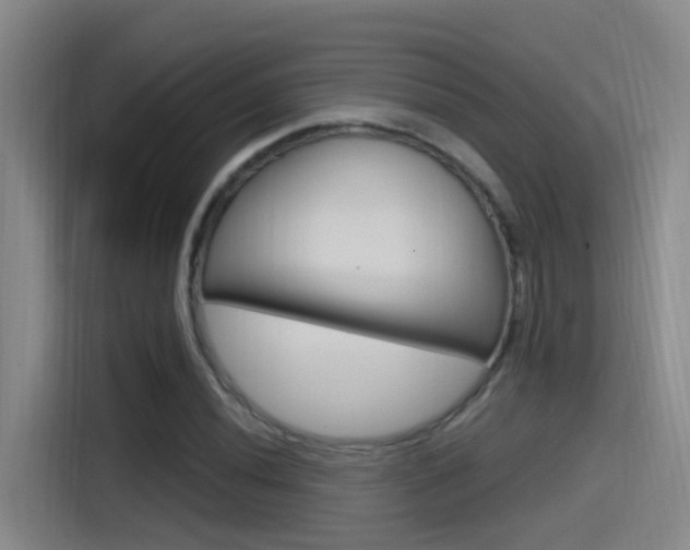 X0000115521020200911061019