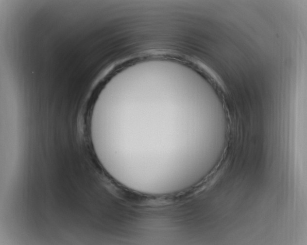 X0000115521023200911061019