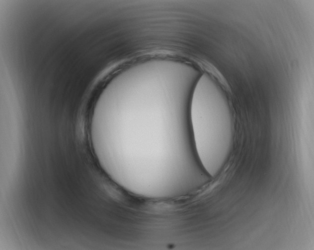 X0000115521027200911061019