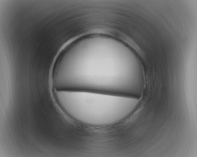 X0000115521028200911061019