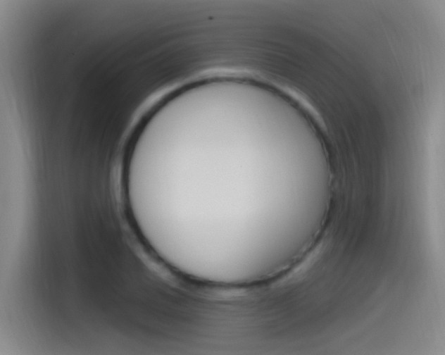 X0000115521030200911061019