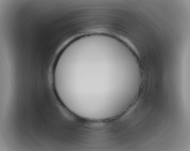 X0000115521031200911061019