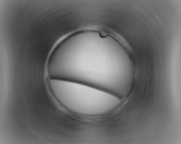 X0000115521036200911061019