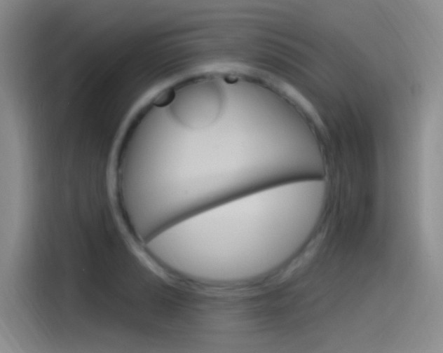 X0000115521037200911061019