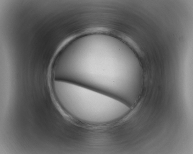 X0000115521038200911061019