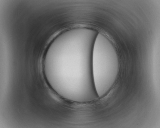 X0000115521039200911061019