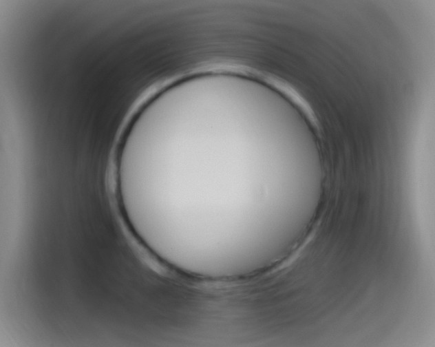 X0000115521040200911061019