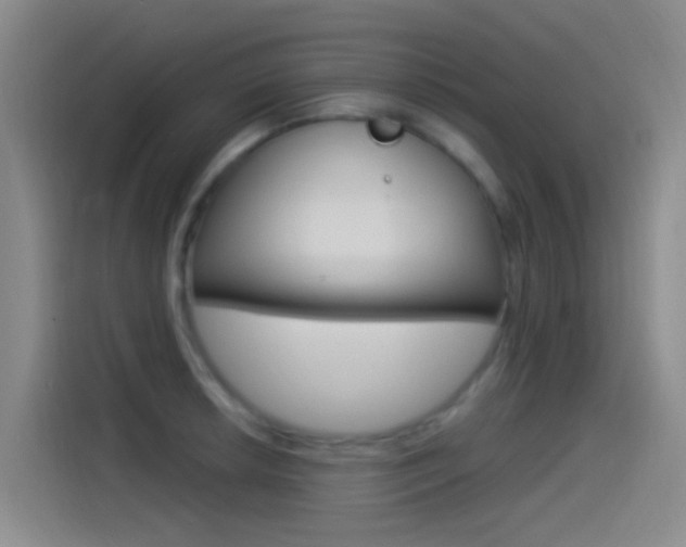 X0000115521042200911061019
