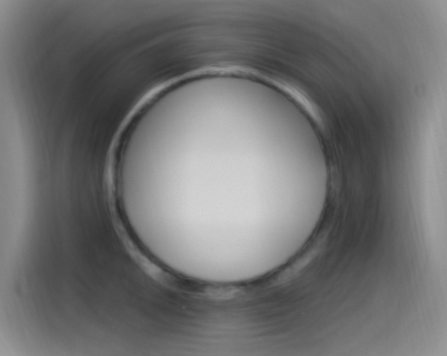 X0000115521046200911061019