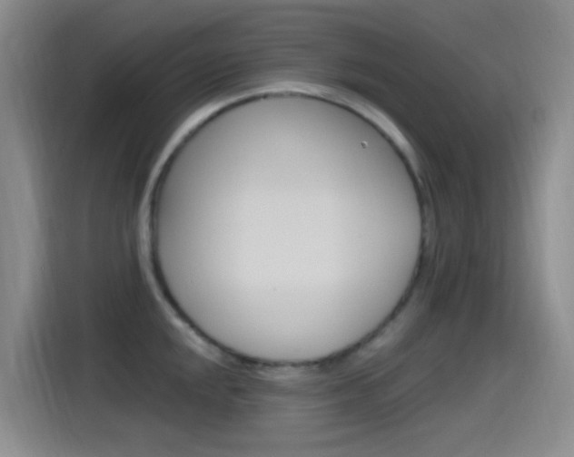 X0000115521048200911061019
