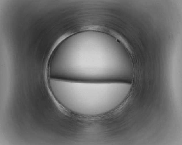 X0000115521050200911061019
