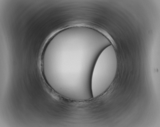 X0000115521051200911061019