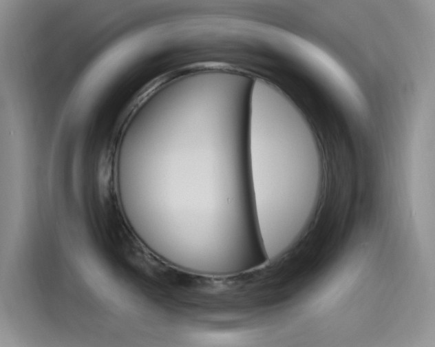 X0000115521052200911061019