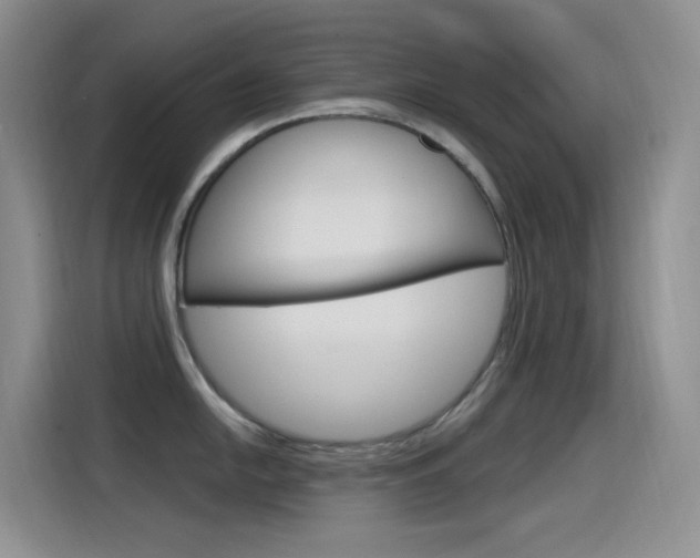 X0000115521054200911061019
