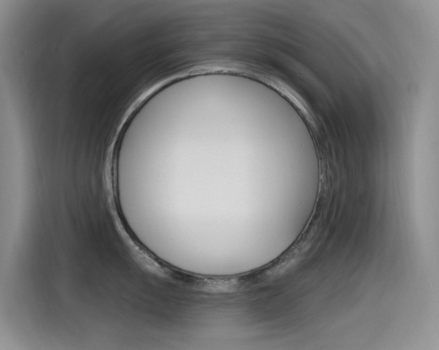 X0000115521055200911061019