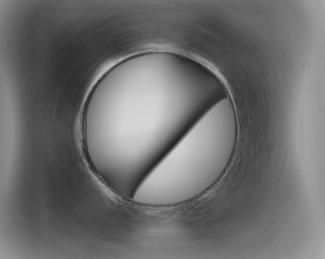 X0000115521056200911061019