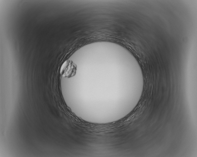 X0000115521057200911061019