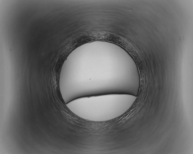 X0000115521058200911061019