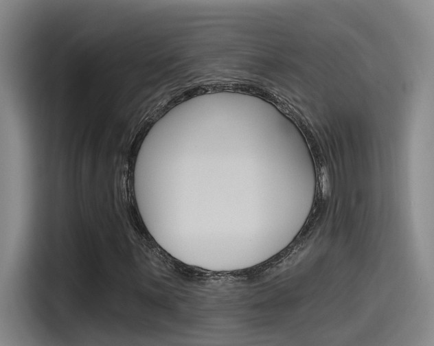X0000115521059200911061019