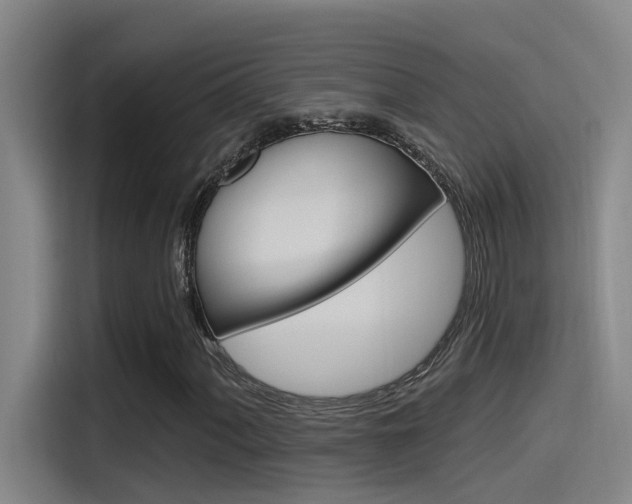 X0000115521060200911061019