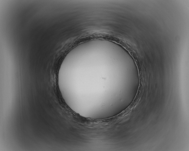 X0000115521061200911061019