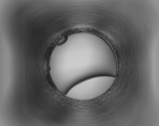 X0000115521062200911061019