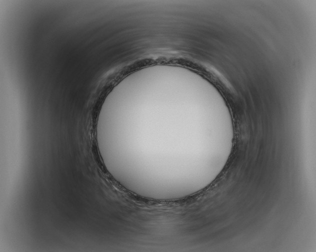 X0000115521063200911061019