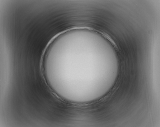 X0000115521068200911061019