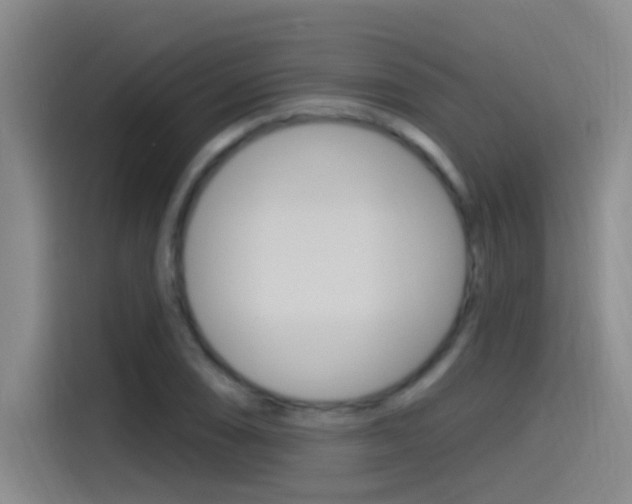 X0000115521074200911061018