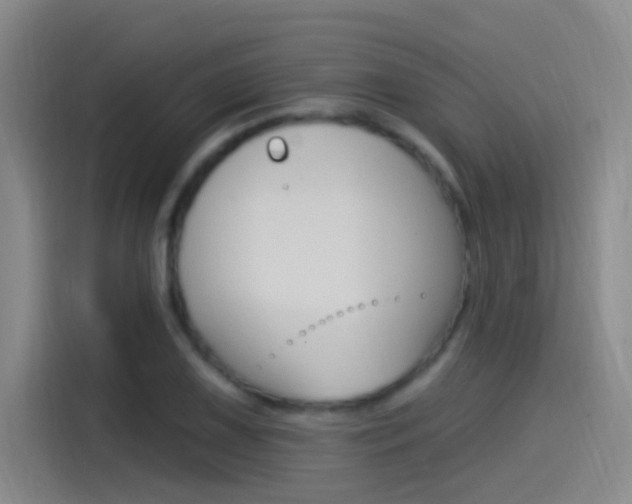 X0000115521075200911061018