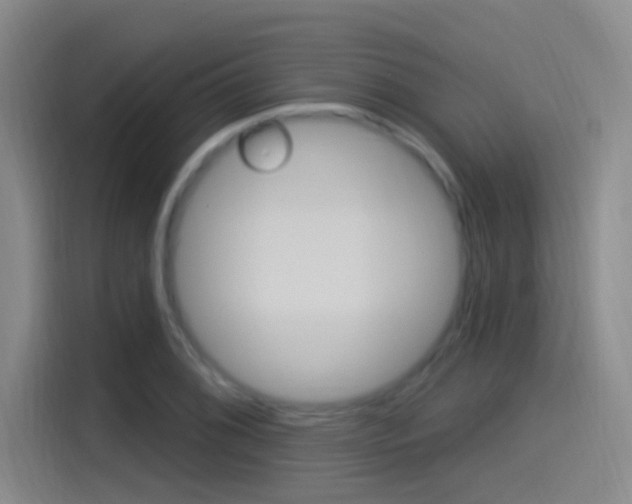 X0000115521076200911061018