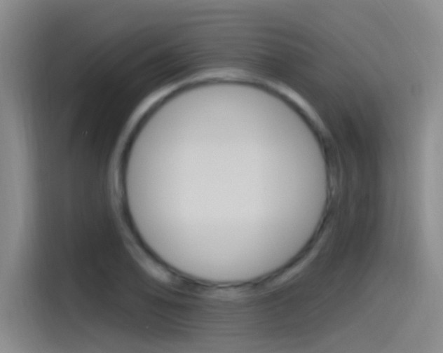 X0000115521078200911061018