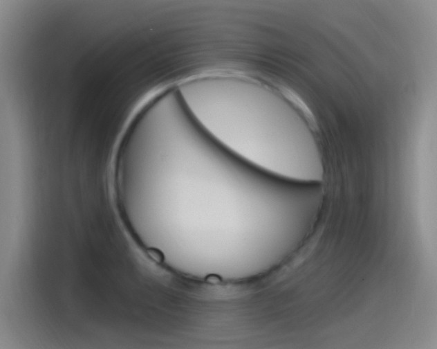 X0000115521087200911061018