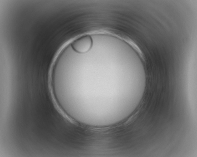 X0000115521088200911061018