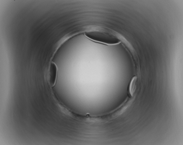 X0000115521089200911061018