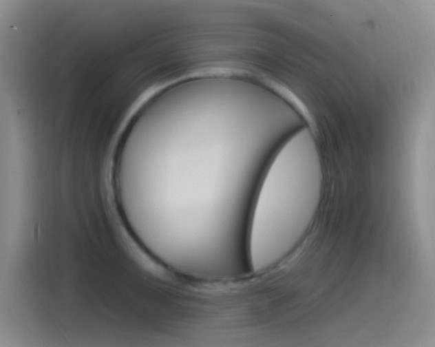 X0000115521091200911061018