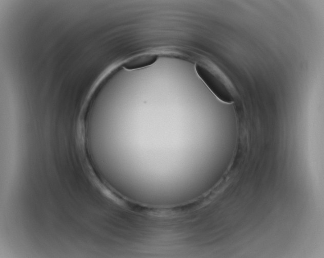 X0000115521092200911061018