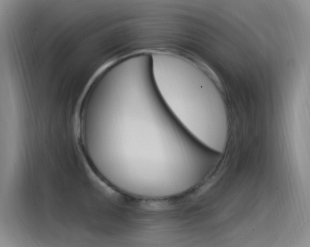 X0000115521095200911061018