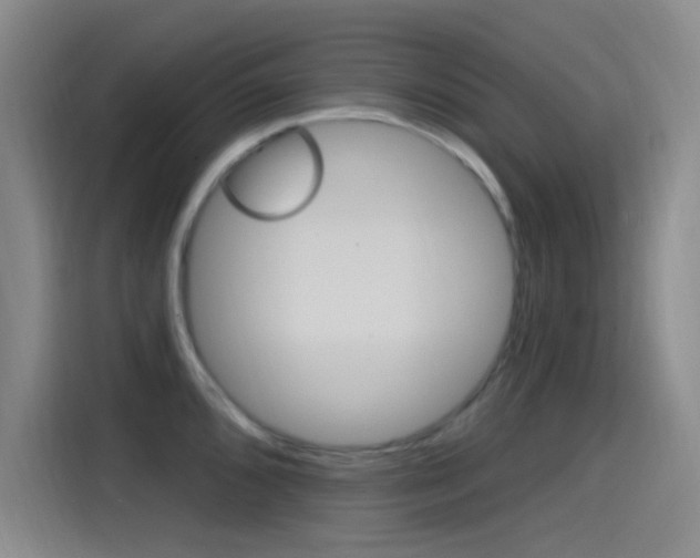 X0000115521096200911061018
