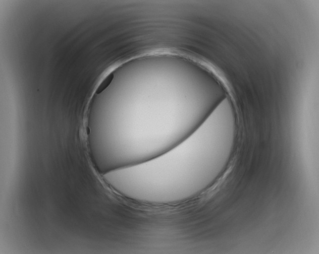 X0000115521097200911061018