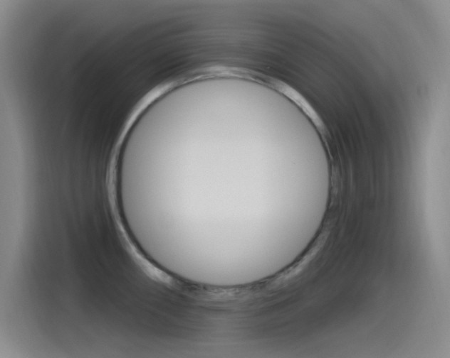 X0000115521098200911061018
